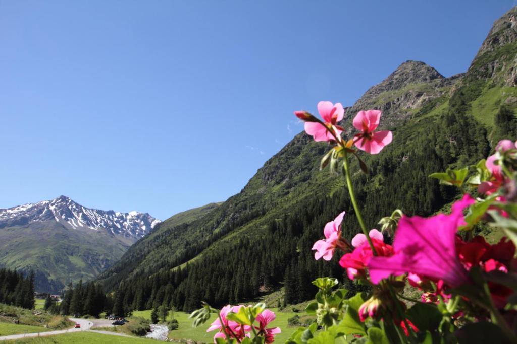 Haus Elisabeth Hotel Sankt Leonhard im Pitztal Bilik gambar